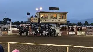 Bishop Mule Days 2019