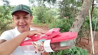 GANHEI  O QUE EU MAIS PRECISAVA.|LAVEI LOUÇAS#roca #sitio #caminhoparaumavidamelhor .#sabiadocampo 