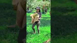 Why is the durian fruit difficult to handle #shorts #durain