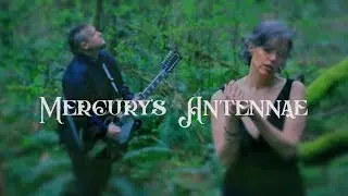 Mercury's Antennae &ndash; The Moon Viewing Garden (OFFICIAL VIDEO)
