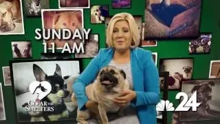 Help NBC 24 'Clear the Shelters' this weekend
