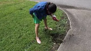 Part 1 planting flowers with my Daughter/Honeycher Channel