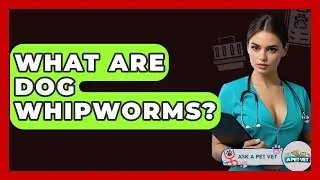 What Are Dog Whipworms? - Ask A Pet Vet
