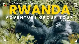 Forever Young Tours | Luxury Group Travel, Culture & Adventure Awaits