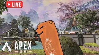 2026的直播 | Apex Legends 来玩