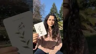 🌸 Flower Essence Reading