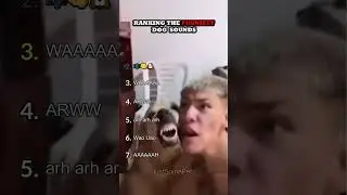 Ranking The Funniest Dog Sounds Part 2