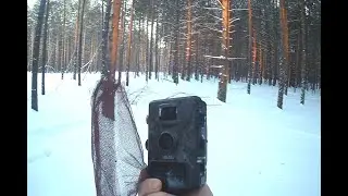 ЗНАК ДЛЯ ЛЮДЕЙ ОСТАВИЛ ЙЕТИ