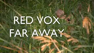 Red Vox - Far Away [FAN MADE MUSIC VIDEO]