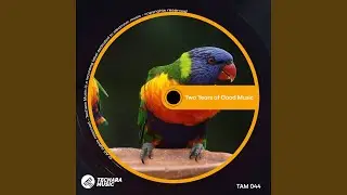 So Groove