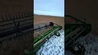 Harvesting Wheat in Winter: Techniques and Equipment for US Farmers