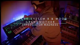 Roland System 8 & Moog Grandmother 
