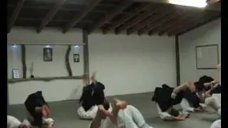 Institute of Aikido: Official Dojo Opening - Warm Up Exercises