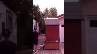 Insane Trick Shot #shorts #trickshots