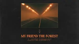 My Friend the Forest - Late Night (Official Visualiser)
