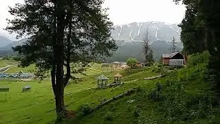 Gulmarg Natural Greenery in Summer #hareemishrath #liyanaishrath #gulmarg