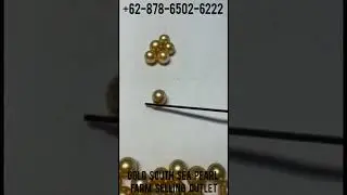 South Sea Pearl Wholesale for more information click whatsapp +62 878-6502-6222