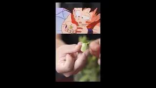 Real Life Dragonball Senzu Beans AKA Fava Beans