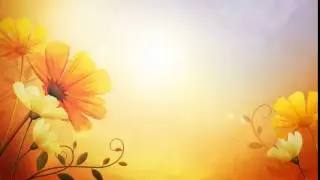 Video Background HD   Flower HD   Style Proshow   styleproshoworg