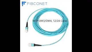 24 Core OM3/OM4 MPO/MTP To LC Breakout Fiber Patch Cable&Fiber Cassette Module_Fibconet