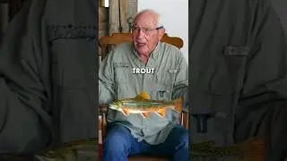 Форель в ручье Спринг-Крик?!? 🤯 #шорты
