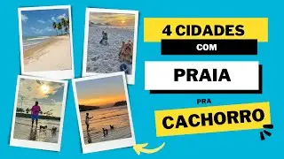 Quais s&atilde;o as 4 praias pra Cachorro no Brasil?