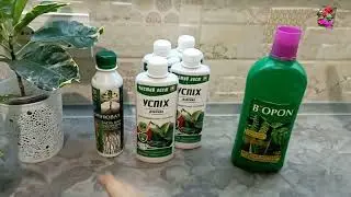 УДОБРЕНИЕ КРОТОНОВ и декоративно-лиственных простыми словами.