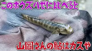 このボウズハゼに比べると山岡さんの鮎はカスや