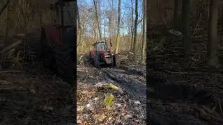 ZETOR 16245 Turbo in MUD #tractor #zetor #turbo #mud #forestry