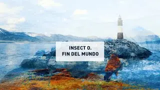 Insect O. - Fin Del Mundo