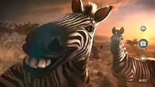DStv African Festive - Explore the extraordinary stories