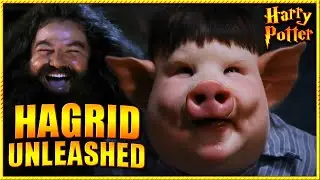 Hagrid UNLEASHES his full power in the Sorcerer&rsquo;s Stone! | Harry Potter
