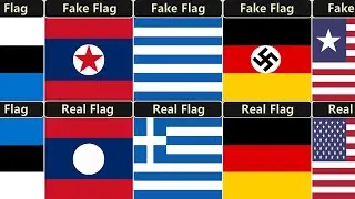 Fake Flags vs Real Flags From Every Countries | Flags Comparison