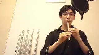 Bernard Overton Tin whistle Soprano D (untunable) [non reverb] - DEMO PLAYING