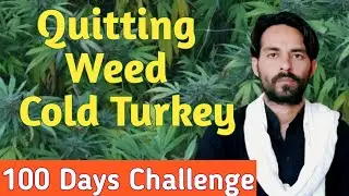 Quitting weed cold turkey challenge | Quitting marijuana | Quitting cannabis |
