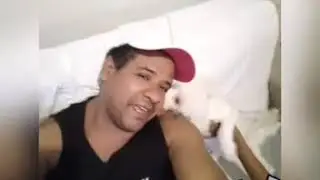 Frank Vieira m&uacute;sica de sucessos
