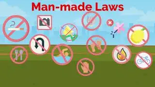 What are the sources of law in Singapore?