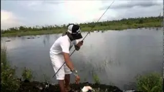Dragon Chinese Vs Giant Snakehead