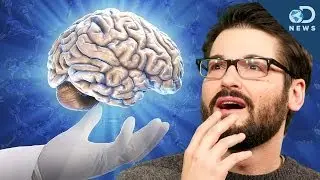 Why You Should Donate Your Brain to Science!