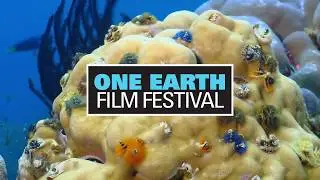 One Earth Film Festival 2020 Trailer