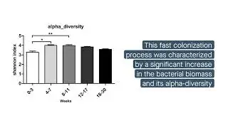 Bacterial colonization dynamics and antibiotic resistance gene spread in the hospital environment