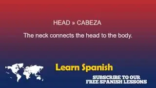 Head in Spanish