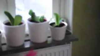 HTML 5 HD quality test
