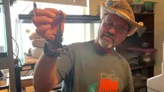 An afternoon with Wildman Phil
