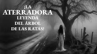 ¡SUSCRIPTOR COMPARTE UN ATERRADOR CASO PARANORMAL REAL! | Relatos de Terror Reales | Viaje #292