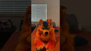 Waiting patiently for snugs 🐶🧡 #fursuit #furry #fursuitersofinstagram 🧵