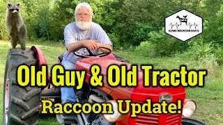 Old Tractors:   1954-TO35 Ferguson