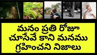 Top Interesting Facts in Telugu/ Unknown Facts telugu/Telugu facts.INSIGHT WORLD TELUGU