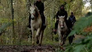 Rutas a Caballo Asturias