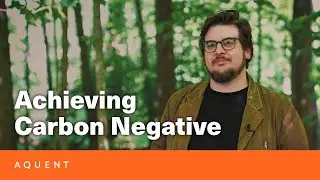 The Future is Carbon Negative: Here's How Your Business Can Get There